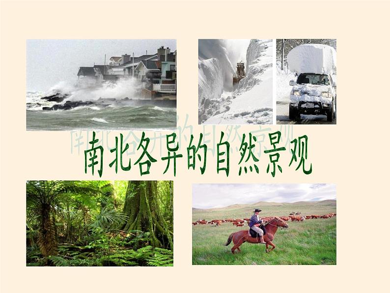 湘教版地理七年级下册 第六章 第三节 美洲(3) 课件第2页