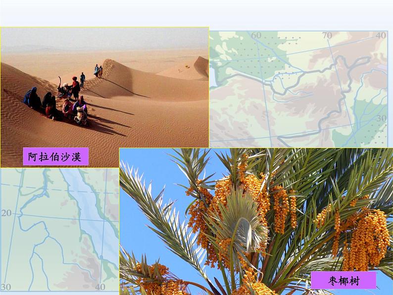 湘教版地理七年级下册 第七章 第三节 西亚(7) 课件第2页