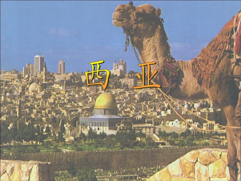 湘教版地理七年级下册 第七章 第三节 西亚(7) 课件第4页