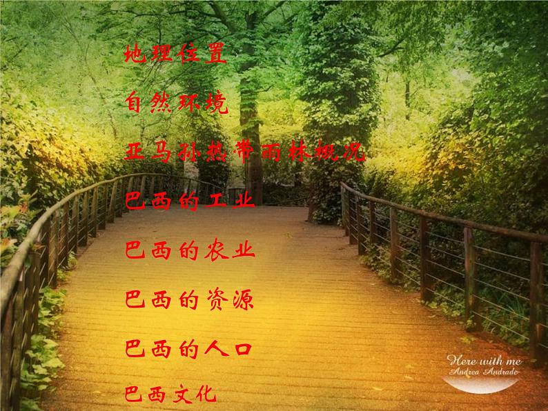 湘教版地理七年级下册 第八章 第六节 巴西_ 课件第3页