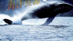 湘教版八年级上册第三章 中国的自然资源第四节 中国的海洋资源课堂教学课件ppt