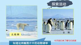 地理七年级下册第五节 北极地区和南极地区评课课件ppt