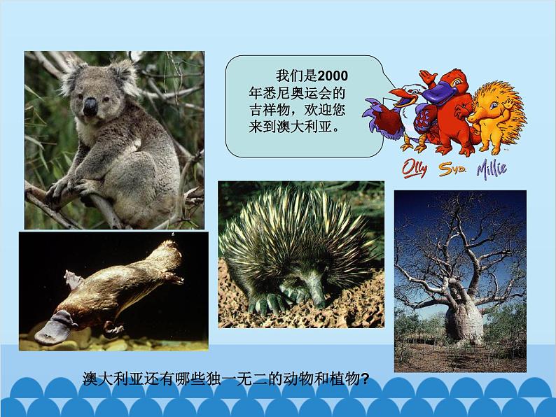 湘教版地理七年级下册 8.7澳大利亚 课件1第5页