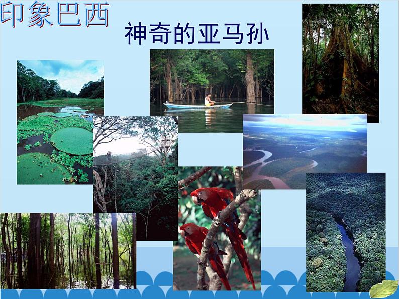 湘教版地理七年级下册 8.6 巴西 课件5第5页