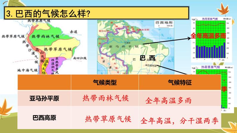 8.6+巴西++课件-2023-2024学年七年级地理下学期湘教版07