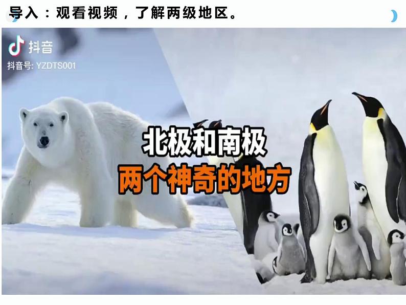 7.5 北极地区和南极地区 (课件)-2023-2024学年七年级地理下学期湘教版第3页