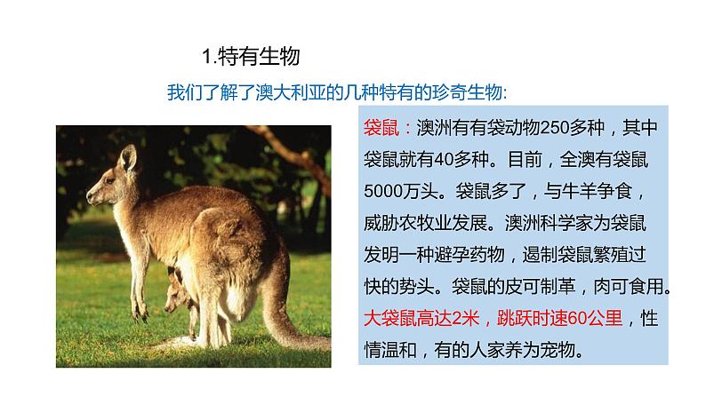 人教版七年级地理下册第八章第四节澳大利亚课件第8页
