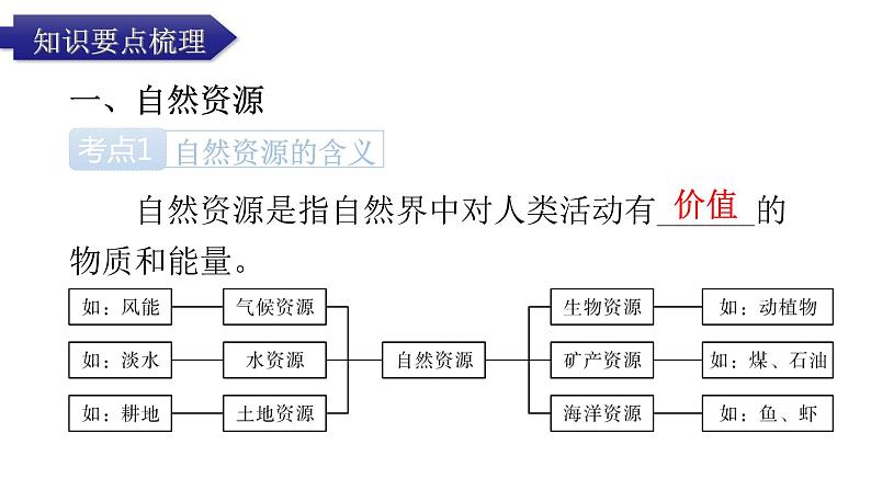 中考地理复习中国地理(上)专题三中国的自然资源教学课件第3页