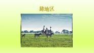 初中地理人教版 (新课标)七年级下册第三节 撒哈拉以南非洲教学ppt课件