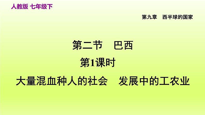 第9章西半球的国家第二节巴西第1课时大量混血种人的社会发展中的工农业课件(人教版)第4页