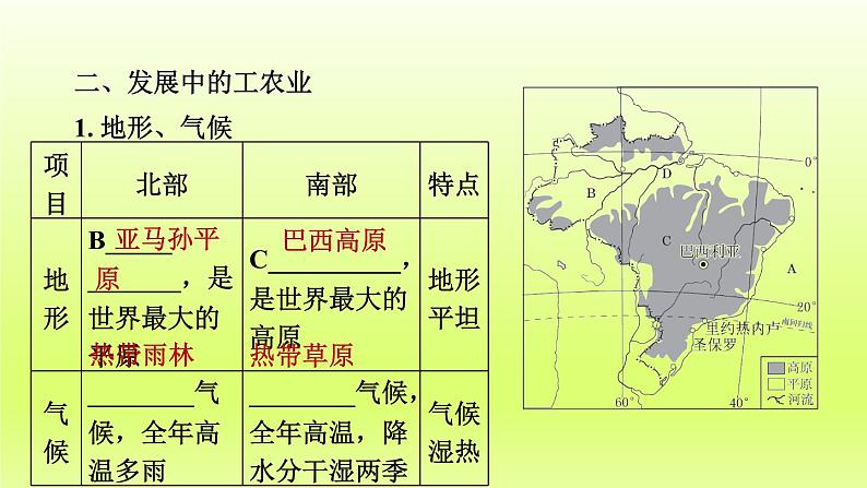 第9章西半球的国家第二节巴西第1课时大量混血种人的社会发展中的工农业课件(人教版)第8页