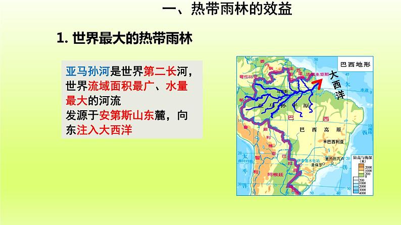 第9章西半球的国家第二节巴西第2课时热带雨林的开发与保护课件(人教版)第8页