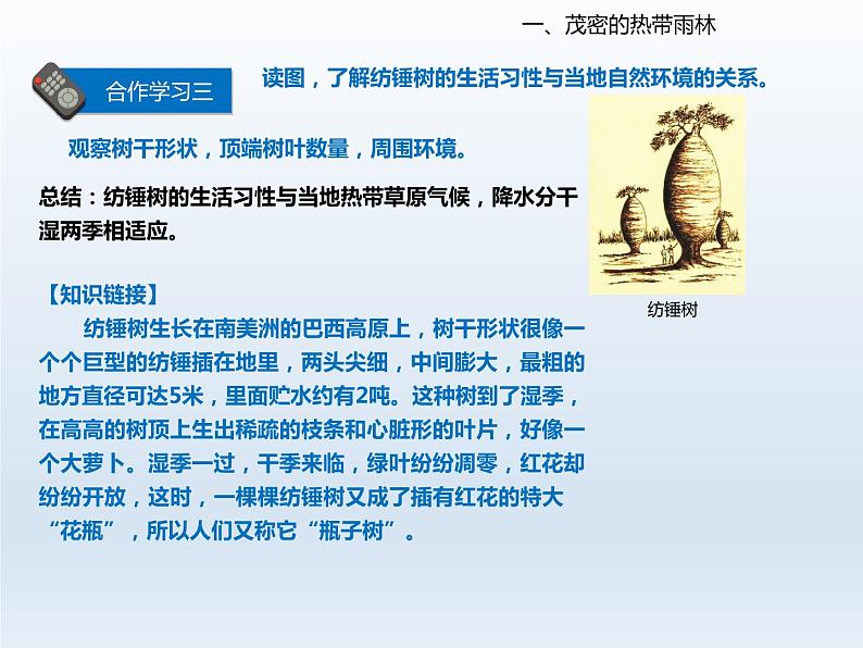 2024七年级地理下册第十章认识国家10.7巴西__南美洲面积最大的国家课件(晋教版)第7页