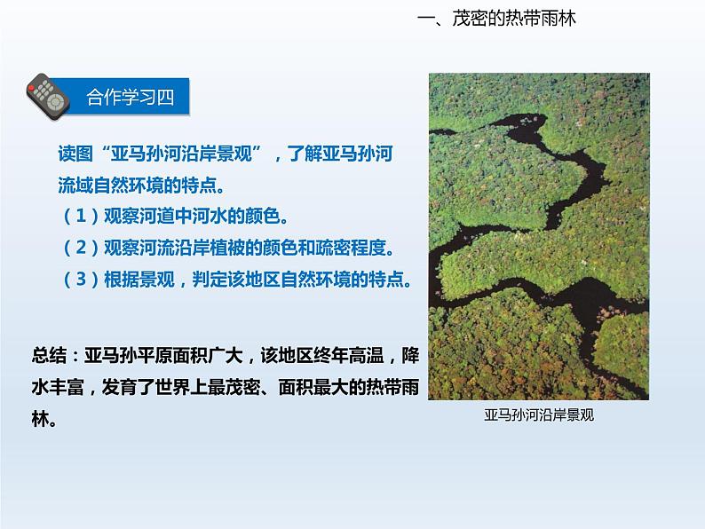 2024七年级地理下册第十章认识国家10.7巴西__南美洲面积最大的国家课件(晋教版)第8页