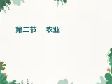 鲁教版（五四制）地理七年级上册 第四章第二节 农业课件