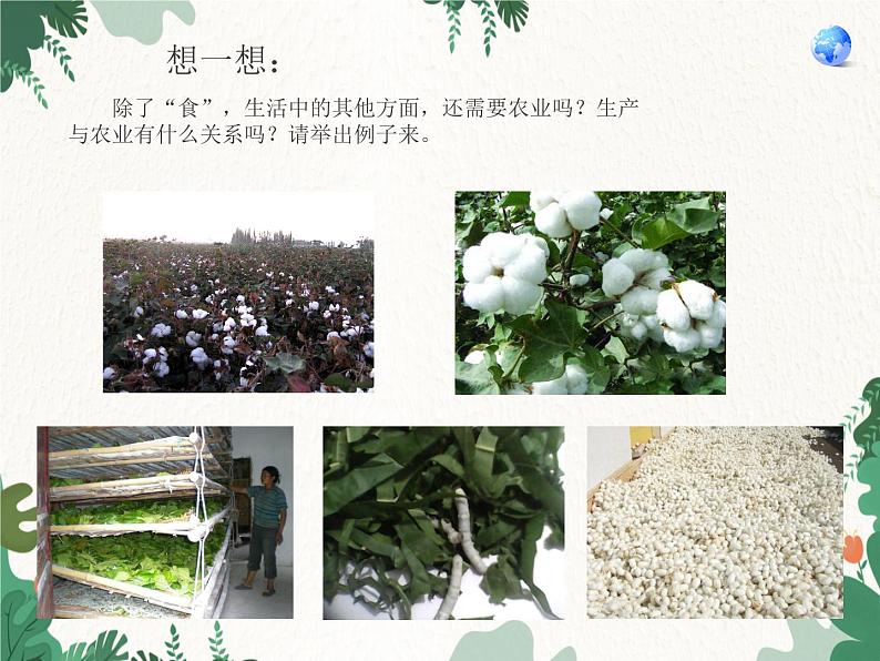 第二节 农业第8页