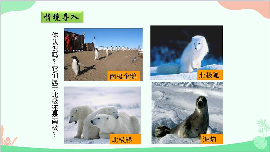 商務(wù)星球版地理七年級下冊 7.5 極地地區(qū)課件第5頁
