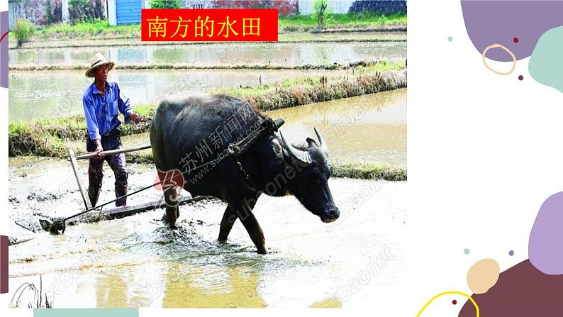 粤教版地理八年级上册 3.2 土地资源课件第2页