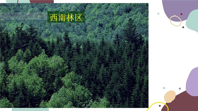 粤教版地理八年级上册 3.2 土地资源课件第5页
