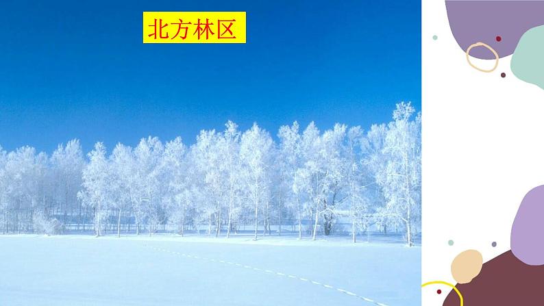 粤教版地理八年级上册 3.2 土地资源课件第6页
