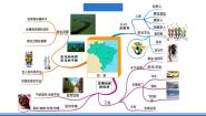 初中地理仁爱科普版七年级下册第六节 巴西获奖课件ppt