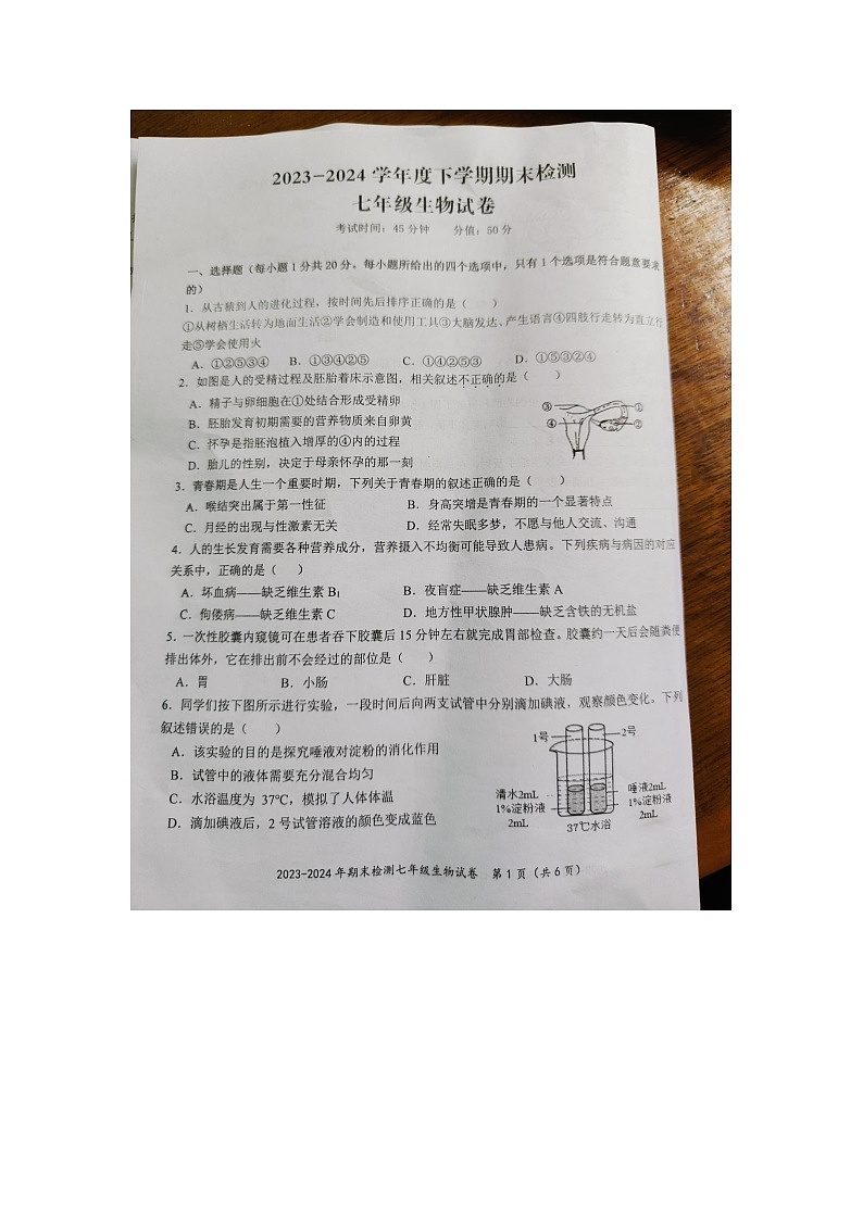 湖北省黄石市黄石港区2023-2024学年下学期期末质量检测七年级地理生物第1页