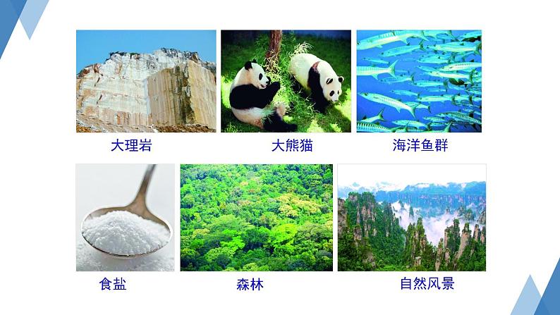 3.1 自然资源概况 课件 ----2024年初中秋季地理湘教版八年级上册第5页