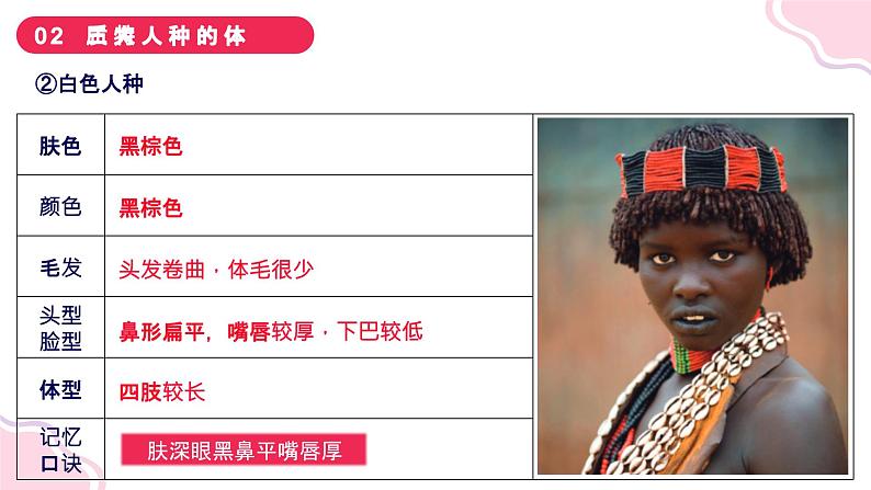 3.2 世界的人种 课件--2024年初中秋季地理湘教版七年级上册第8页