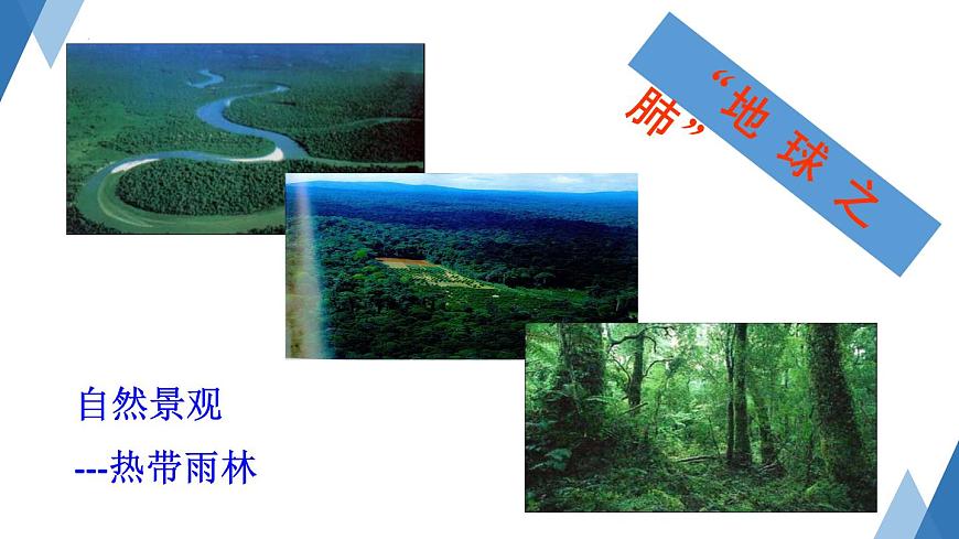 4.4 世界主要氣候類型 課件2024年初中秋季地理湘教版七年級上冊第7頁