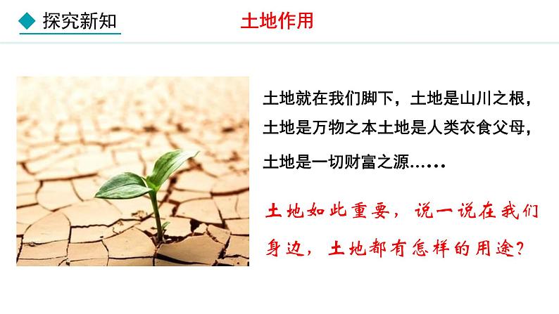人教版八年级地理上册课件 3.2 土地资源03
