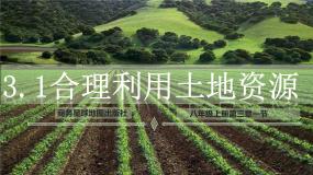 地理八年级上册第三章 中国的自然资源第一节 	合理利用土地资源课堂教学ppt课件