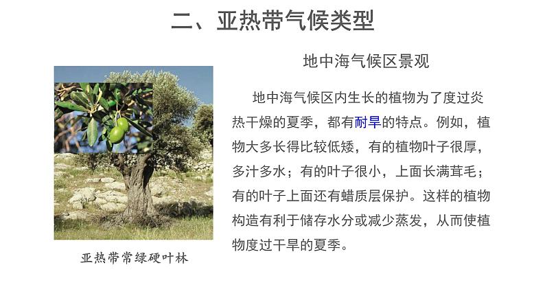 2.2《世界的气候类型》(第2课时)课件 ---2024年初中秋季地理中图版八年级上册07