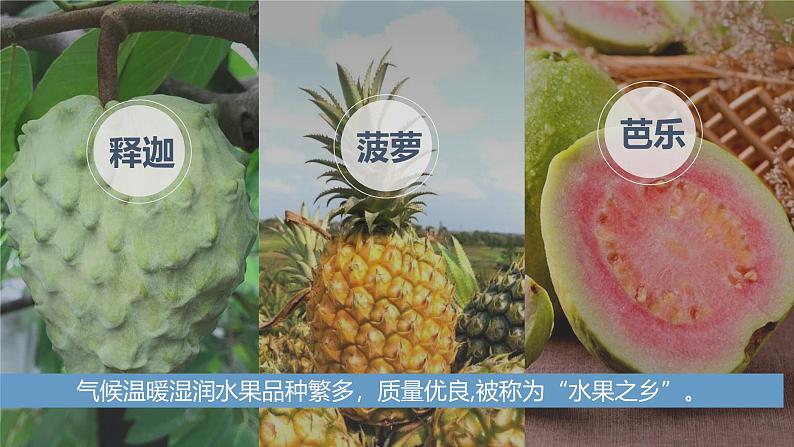 湘教版8下第八章 第二节 《台湾省的地理环境与经济发展》教学课件(第2课时)第6页