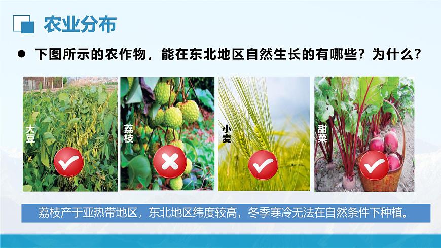 湘教版8下第六章 第三節(jié) 《東北地區(qū)的產(chǎn)業(yè)分布》教學課件第4頁
