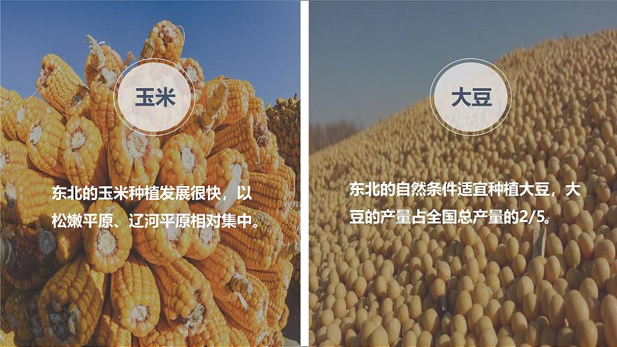 湘教版8下第六章 第三節(jié) 《東北地區(qū)的產(chǎn)業(yè)分布》教學課件第6頁