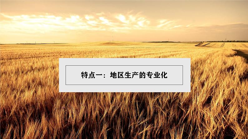 湘教版初中地理7下第八章 第五节 《美国》教学课件(第2课时)05