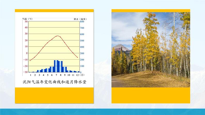 【湘教新版】初中地理7上第五章 第四节 《世界主要气候类型》教学课件(第2课时)04