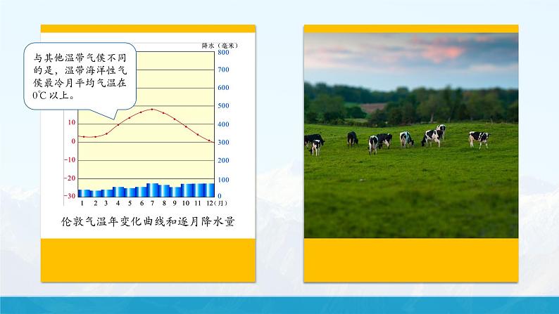 【湘教新版】初中地理7上第五章 第四节 《世界主要气候类型》教学课件(第2课时)08