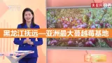 湘教版八年级地理上册《农业》课时1 课件+教案+练习