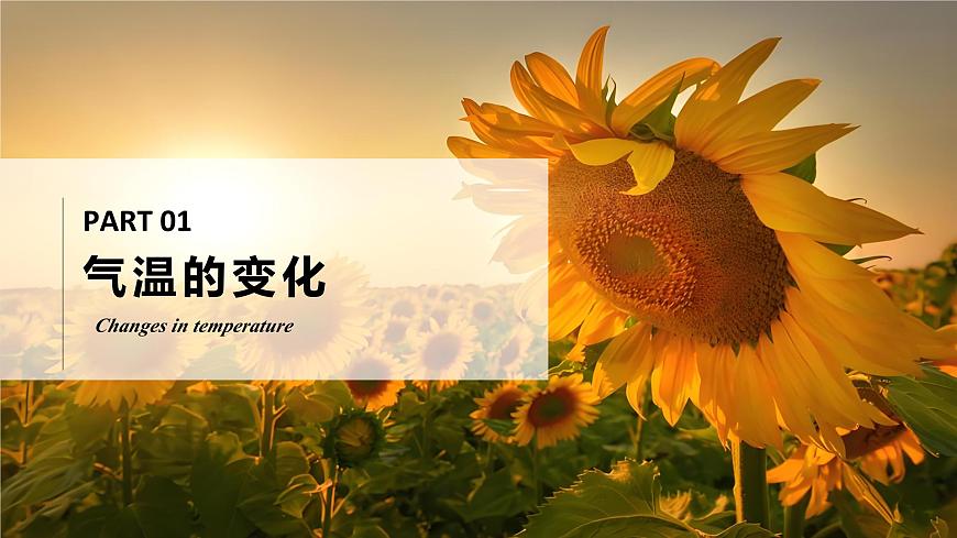 4.2氣溫的變化與分布（課件）-2024-2025學(xué)年最新人教版七年級上冊地理第5頁