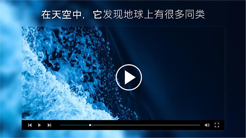 人教版(2024)地理八上:3.3 水资源(课件+教案+素材)05