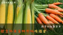 初中地理人教版(2024)七年级上册(2024)【跨学科主题学习】探索外来食料作物传播史课前预习ppt课件