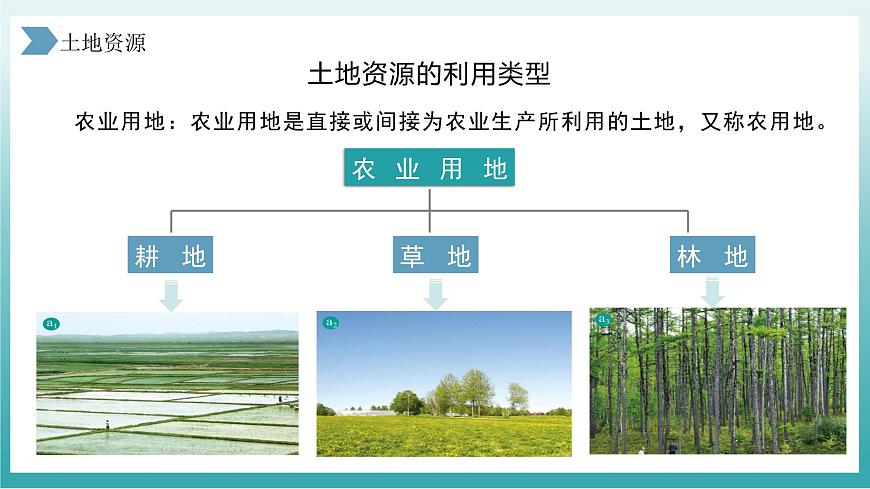3.2 土地資源（教學(xué)課件）（人教版）第8頁