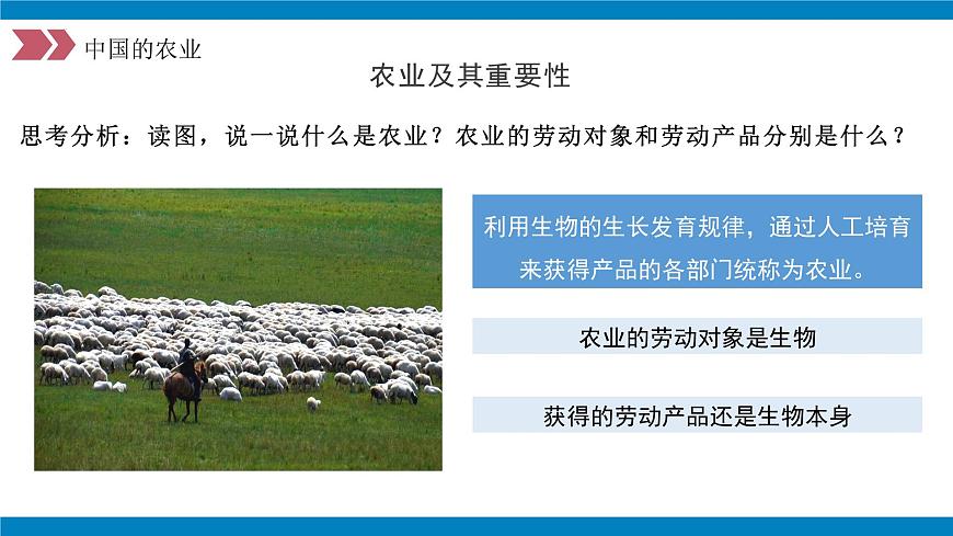 4.2農(nóng)業(yè)（第1課時）（教學(xué)課件）（人教版）第5頁