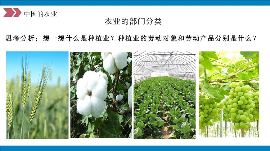 4.2農(nóng)業(yè)（第1課時）（教學(xué)課件）（人教版）第7頁