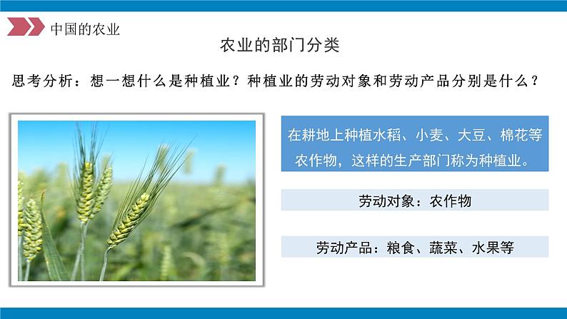 人教版初中地理八年级上册 4.2.1 农业(课件+教案+练习+导学案)08