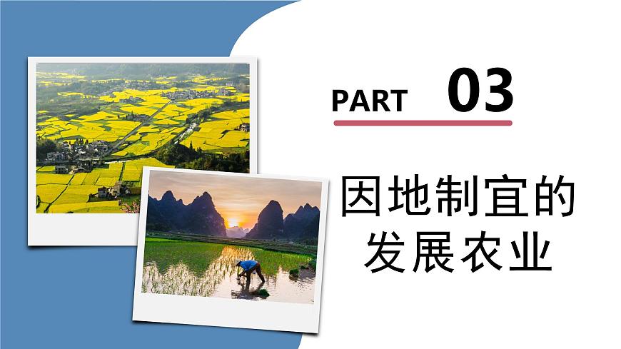 4.2農(nóng)業(yè) （第2課時(shí)）（教學(xué)課件）（人教版）第5頁(yè)