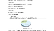 初中地理湘教版（2024）七年级上册（2024）第一节 世界的海陆分布精品学案