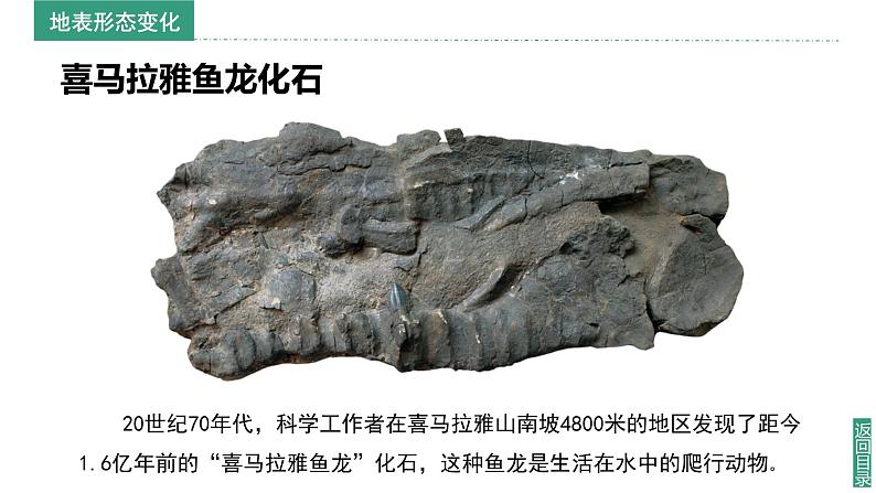 2024新教材湘教版(2024)七年级上册 3.3《海陆变迁》课件+教案+学案05
