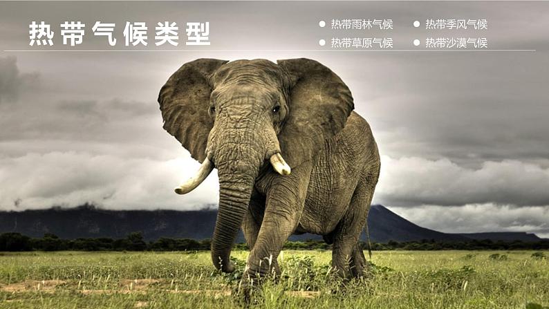 湘教版七年级地理上册同步备课 4.4世界主要气候类型(课件)05